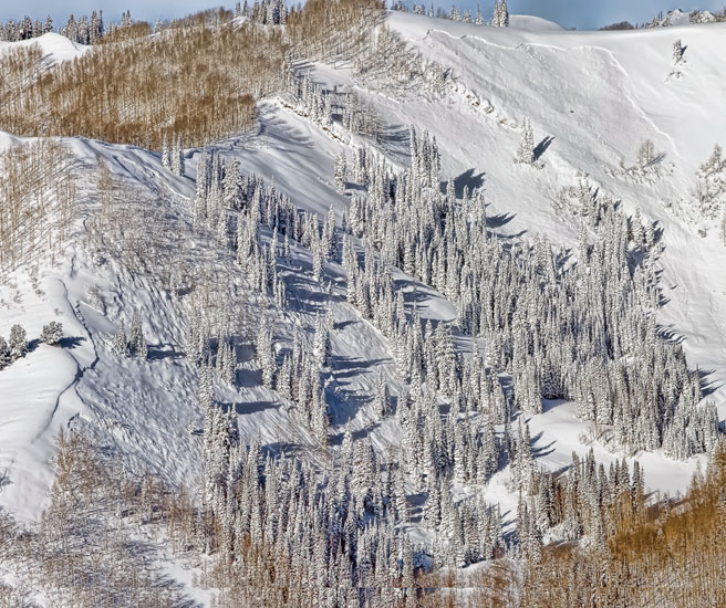 west-willow panorama